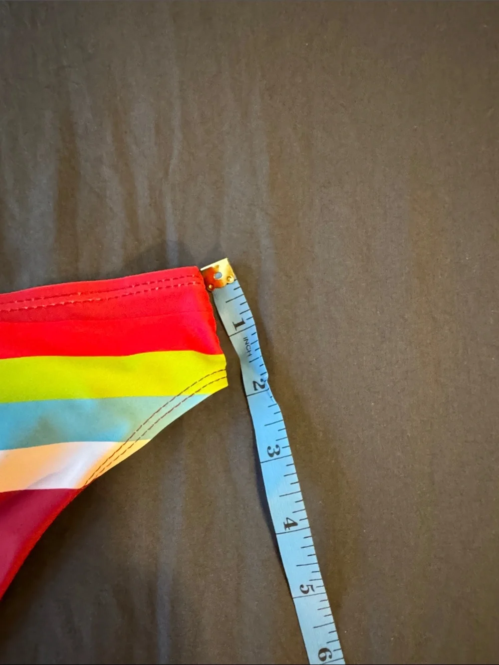 Burgundy Bikini Bottom with Rainbow Stripe Unlined Medium